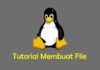 Tutorial Dasar Membuat File di Linux Terminal