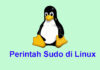 Pengertian Perintah Sudo di Linux