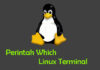 Tutorial dan Penggunaan Perintah Which di Terminal Linux