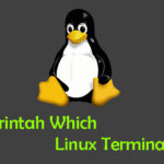 Tutorial dan Penggunaan Perintah Which di Terminal Linux