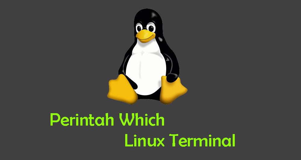 Tutorial dan Penggunaan Perintah Which di Terminal Linux