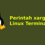 Tutorial dan Contoh Penggunaan Perintah Xargs di Linux