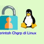 Perintah Chgrp di Linux Terminal