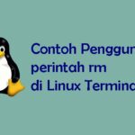 Tutorial Penggunaan Perintah rm di Linux Terminal