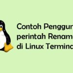 Tutorial Penggunaan Perintah Rename di Linux Terminal