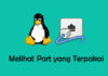 Cara Melihat Port yang Terpakai di Linux Terminal.jpg