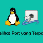 Cara Melihat Port yang Terpakai di Linux Terminal.jpg