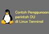 Tutorial Penggunaan Perintah DU di Linux Terminal