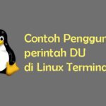 Tutorial Penggunaan Perintah DU di Linux Terminal