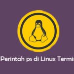 Perintah ps di Linux Terminal