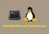 Perintah Pstree di Terminal Linux