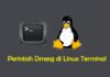 Perintah Dmesg di Linux Terminal.jpg