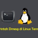 Perintah Dmesg di Linux Terminal.jpg