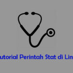 Tutorial Perintah Stat di Linux.jpg