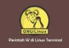 Tutorial Penggunaan perintah W di Linux Terminal