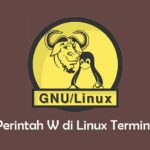 Tutorial Penggunaan perintah W di Linux Terminal