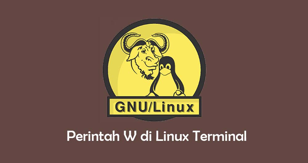 Tutorial Penggunaan perintah W di Linux Terminal