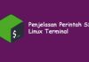 Penjelasan Perintah SSH di Terminal Linux