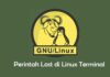 Perintah Last di Linux Terminal