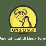 Perintah Last di Linux Terminal