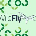 Cara Install dan Konfigurasi WildFly (JBoss) di Ubuntu 18.04