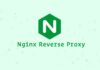 Cara Setting Nginx Sebagai Reverse Proxy